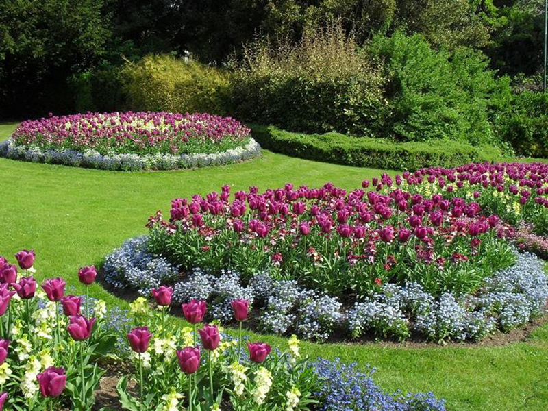 giardino-in-fiore