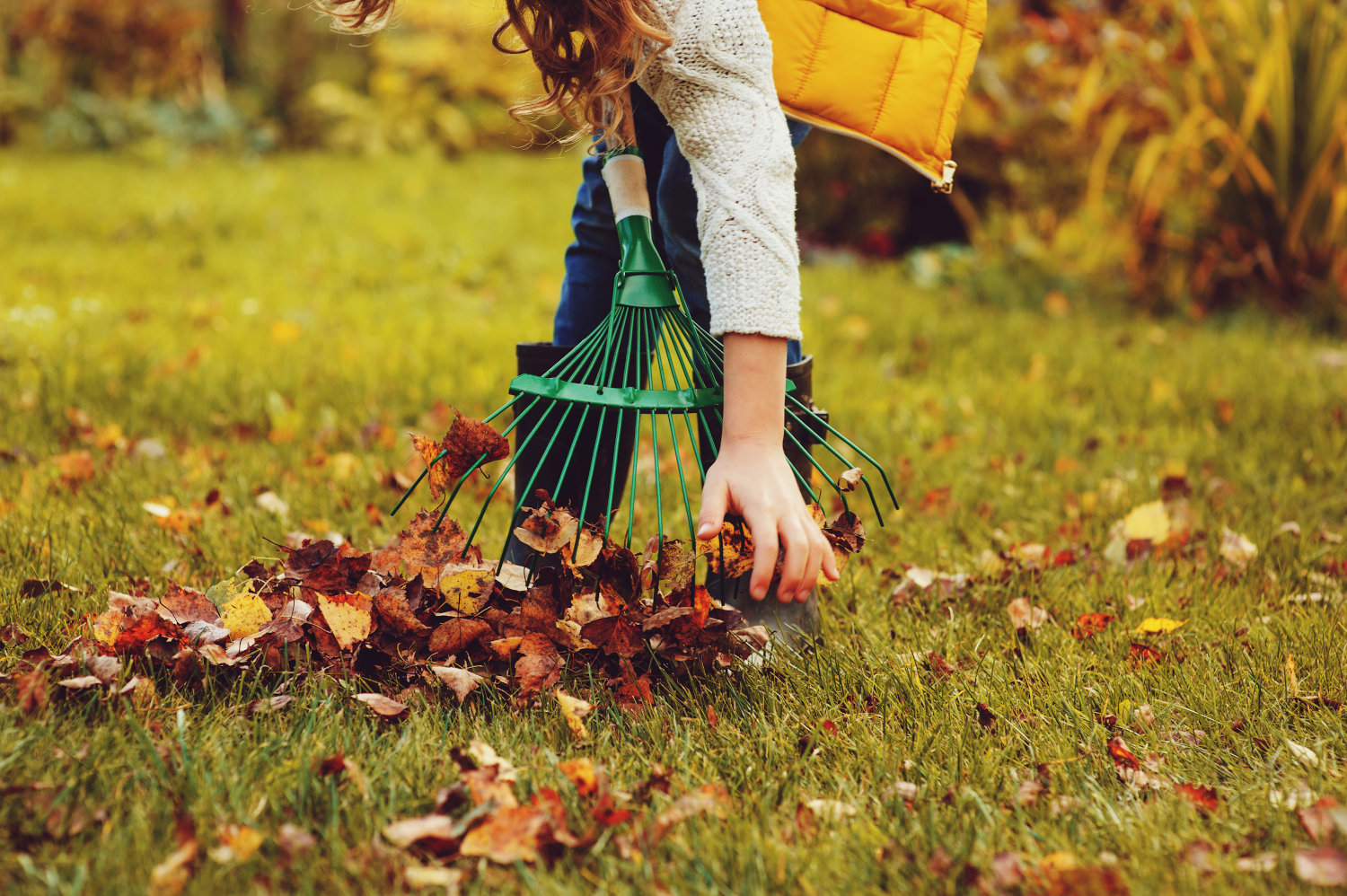 preparare-giardino